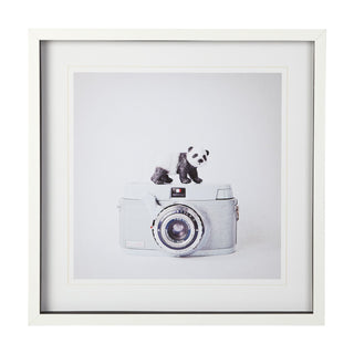 Panda and Camera Art, 25x25