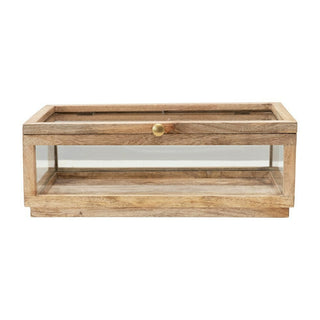 Wood & Glass Display Box